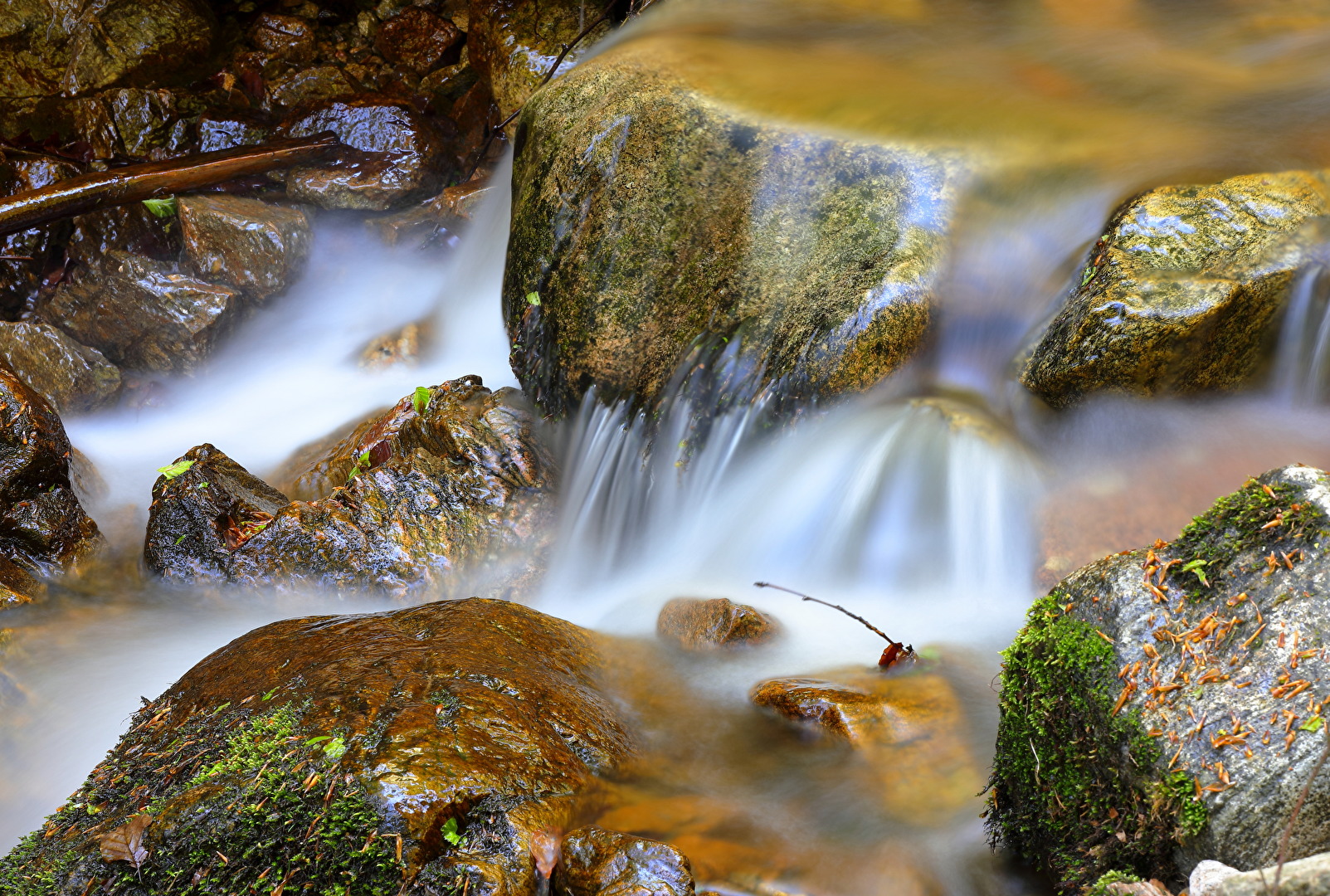 Bach im Schwarzwald