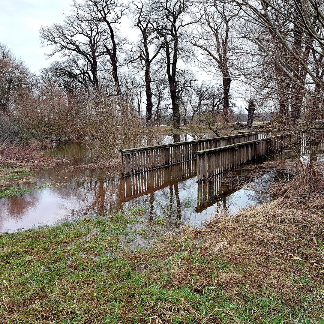 das Wasser der Elbe macht sich breit