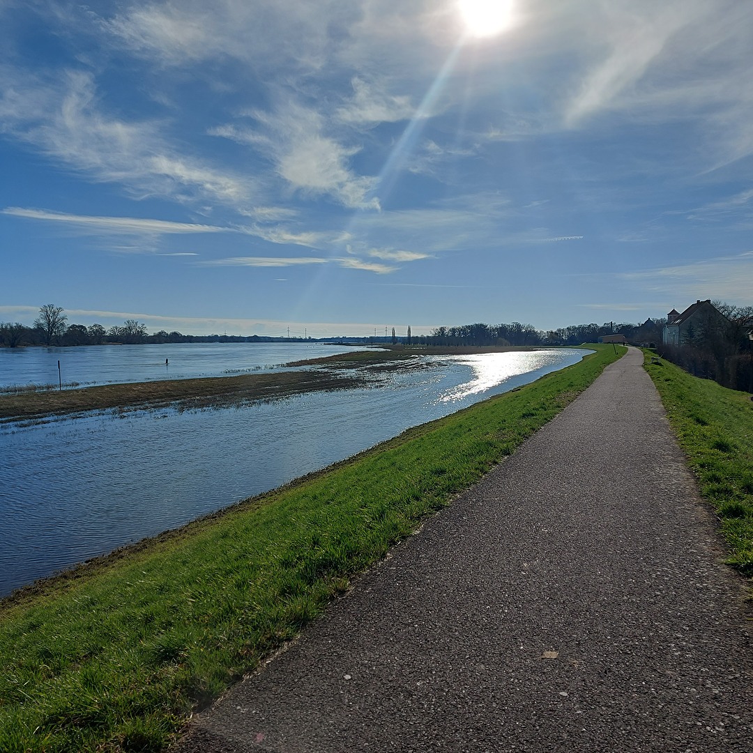 am Morgen an der Elbe