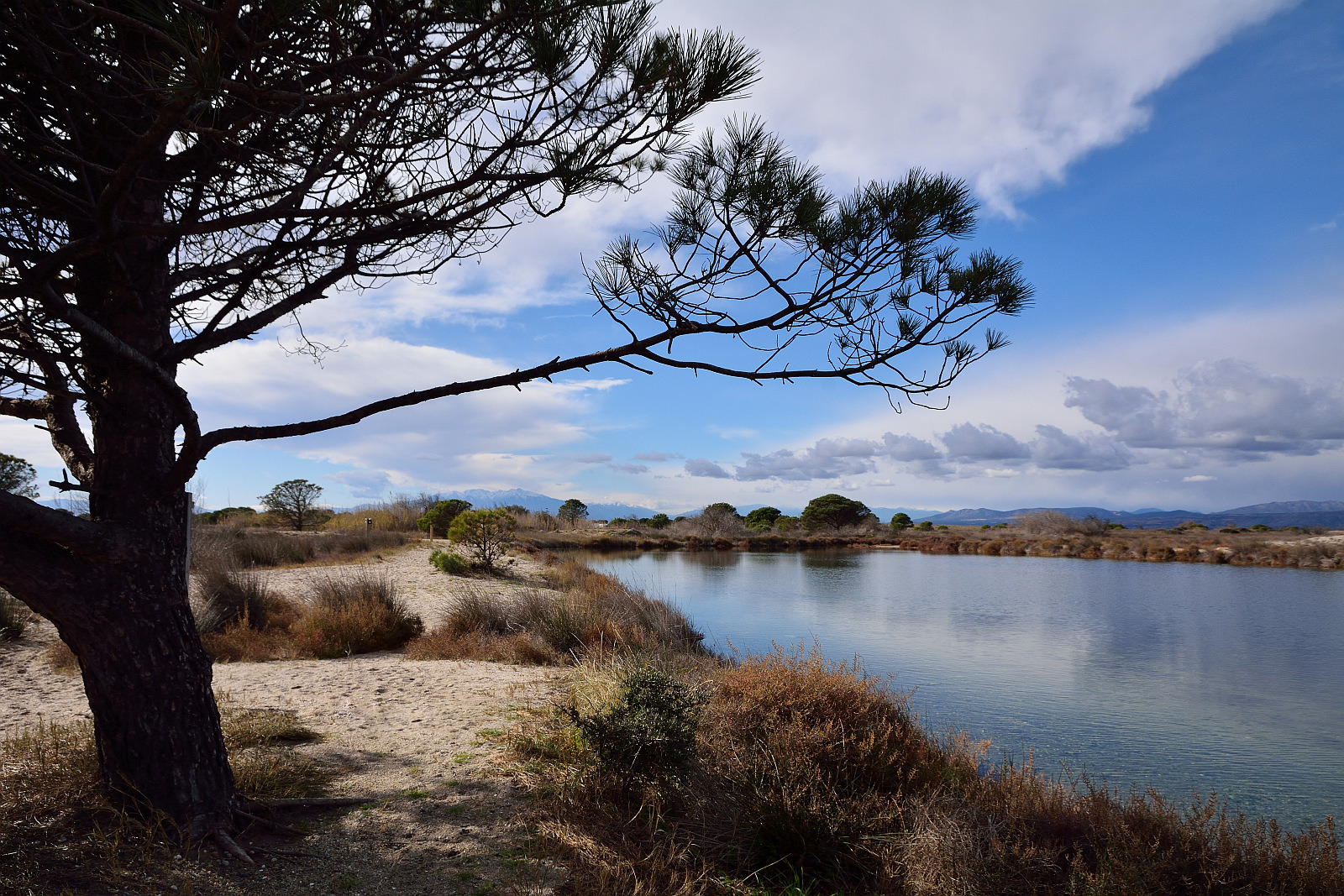 Zwischen Meer und Gebirge..