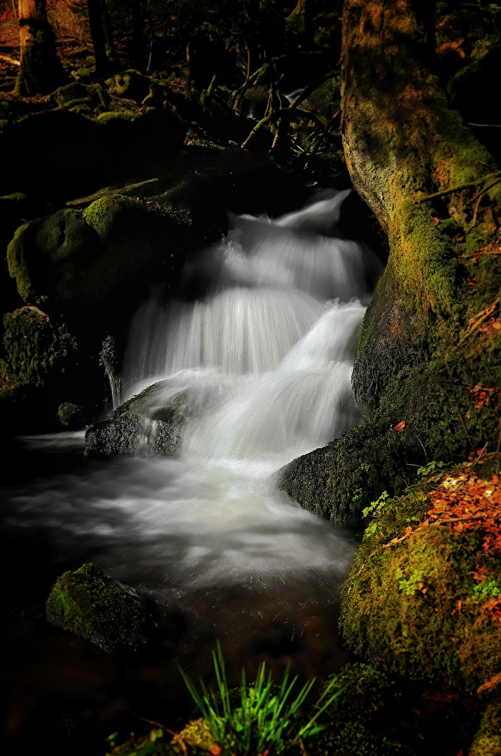 Beim Zweribach Wasserfall