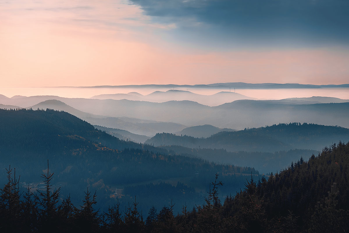 Schwarzwald