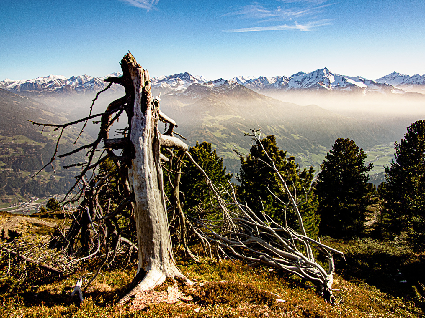 Alpenhauptkamm