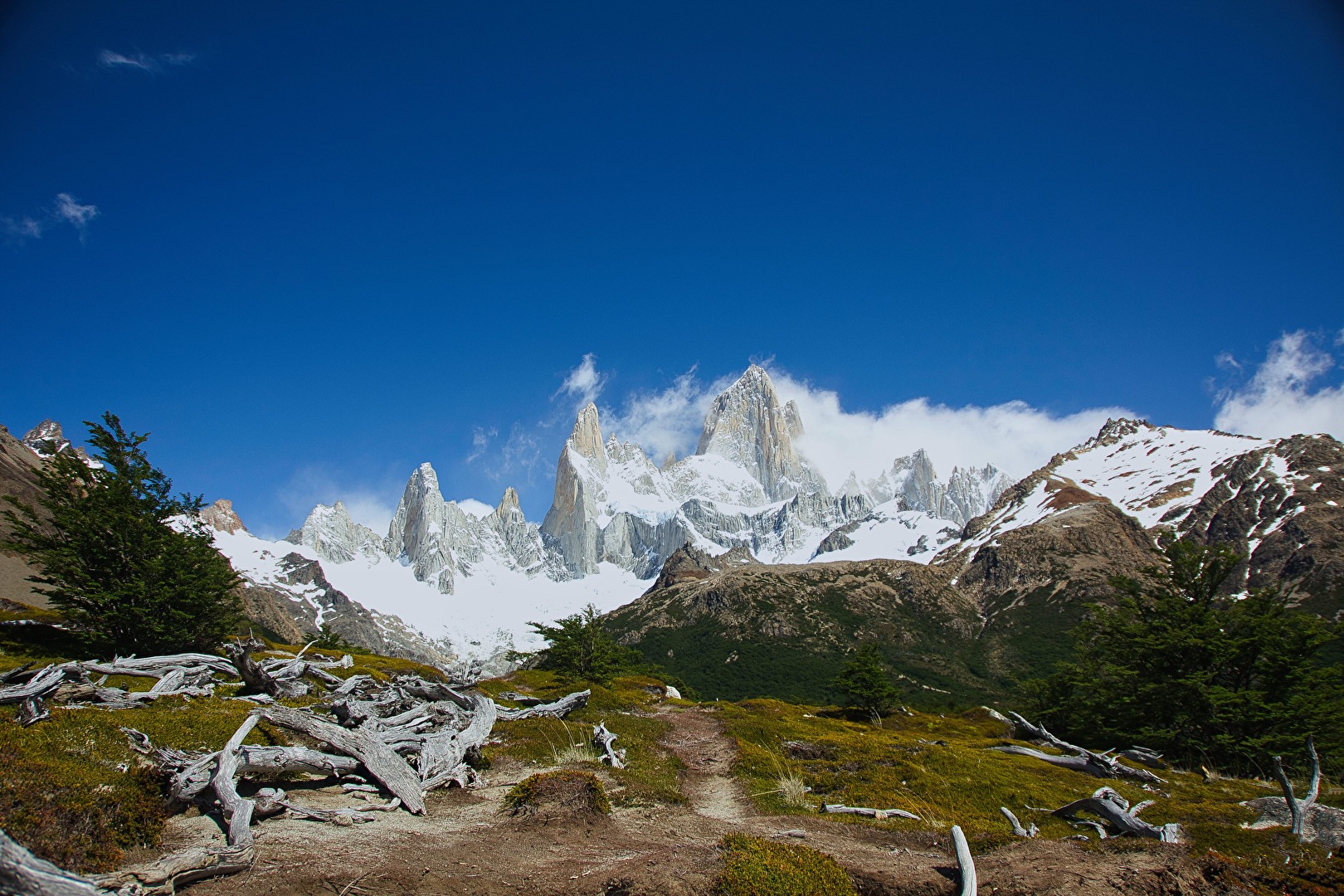 Fitz Roy