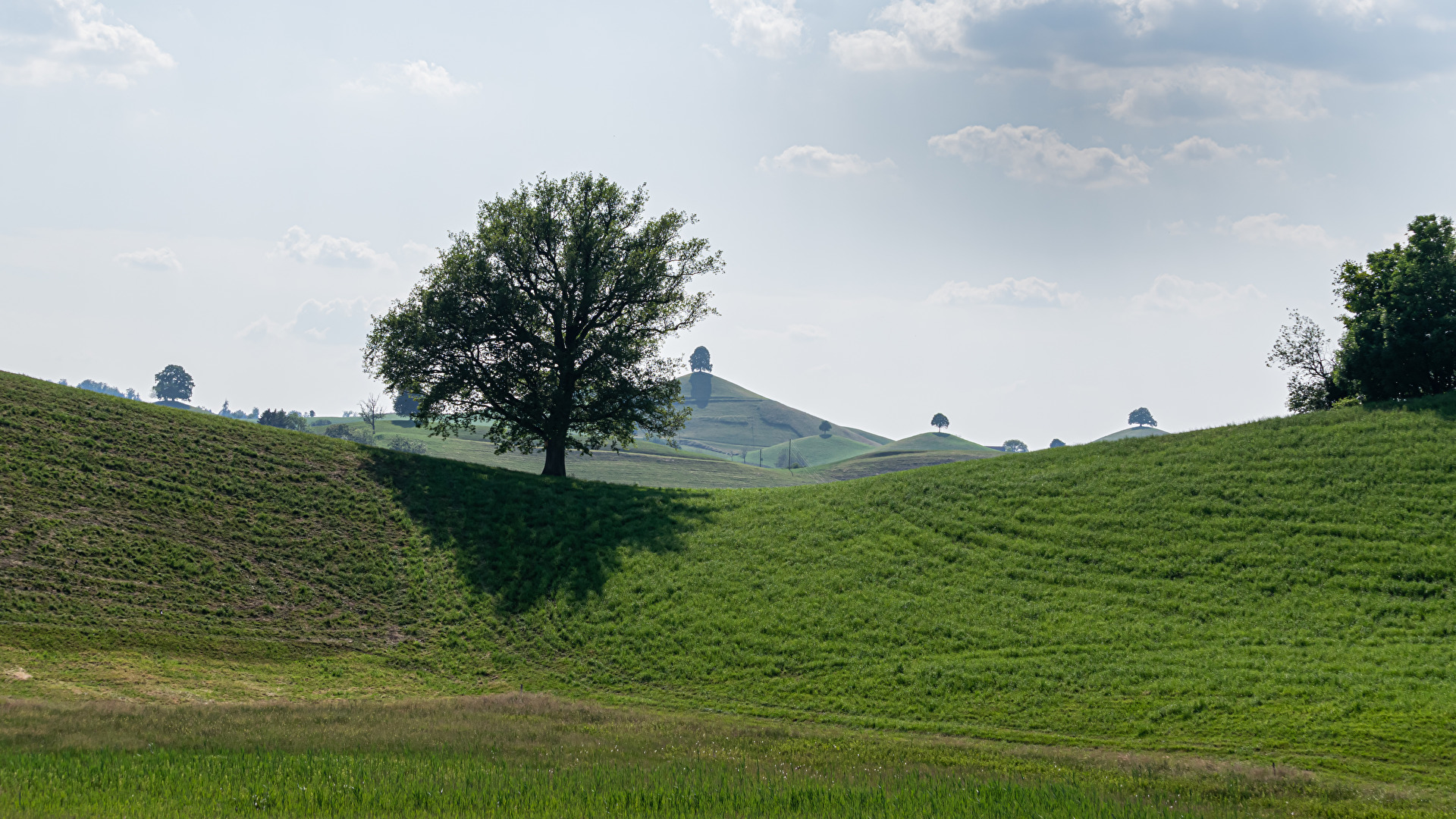 Berge (allgemein)