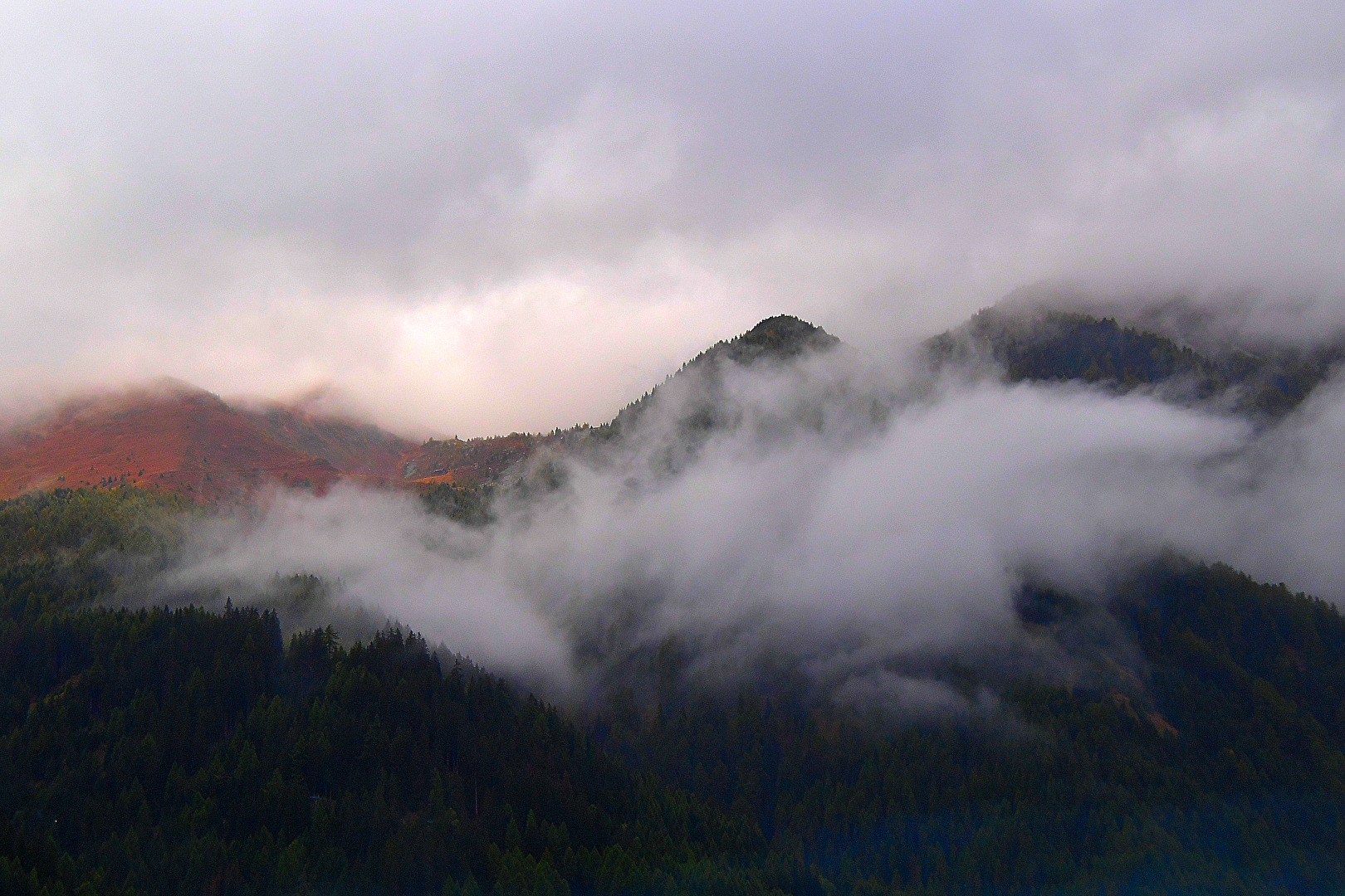 Nebel in Südtirol