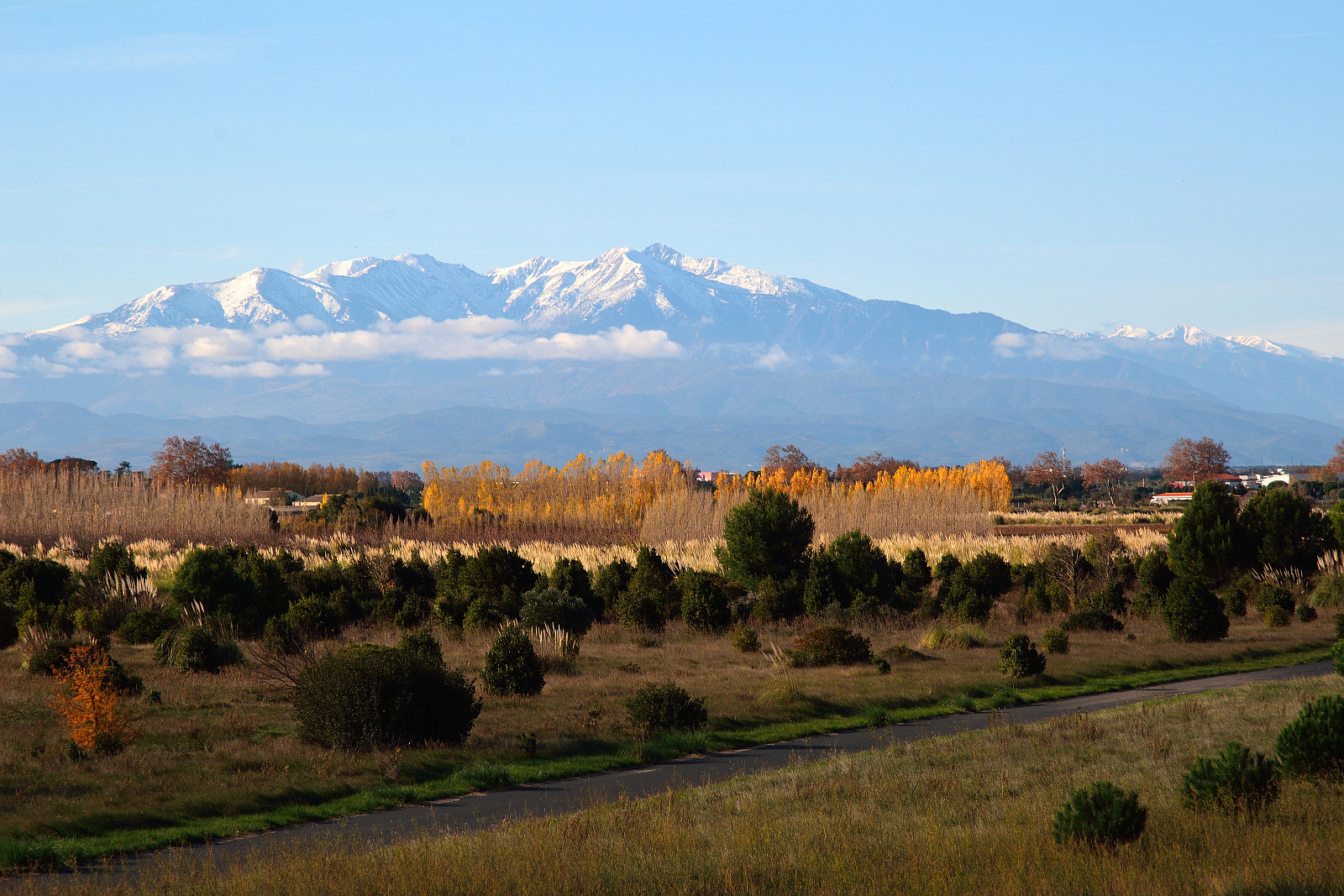 Der Canigou im Winter