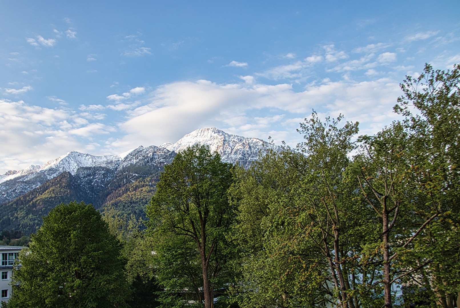 Berge hinter den Bäumen