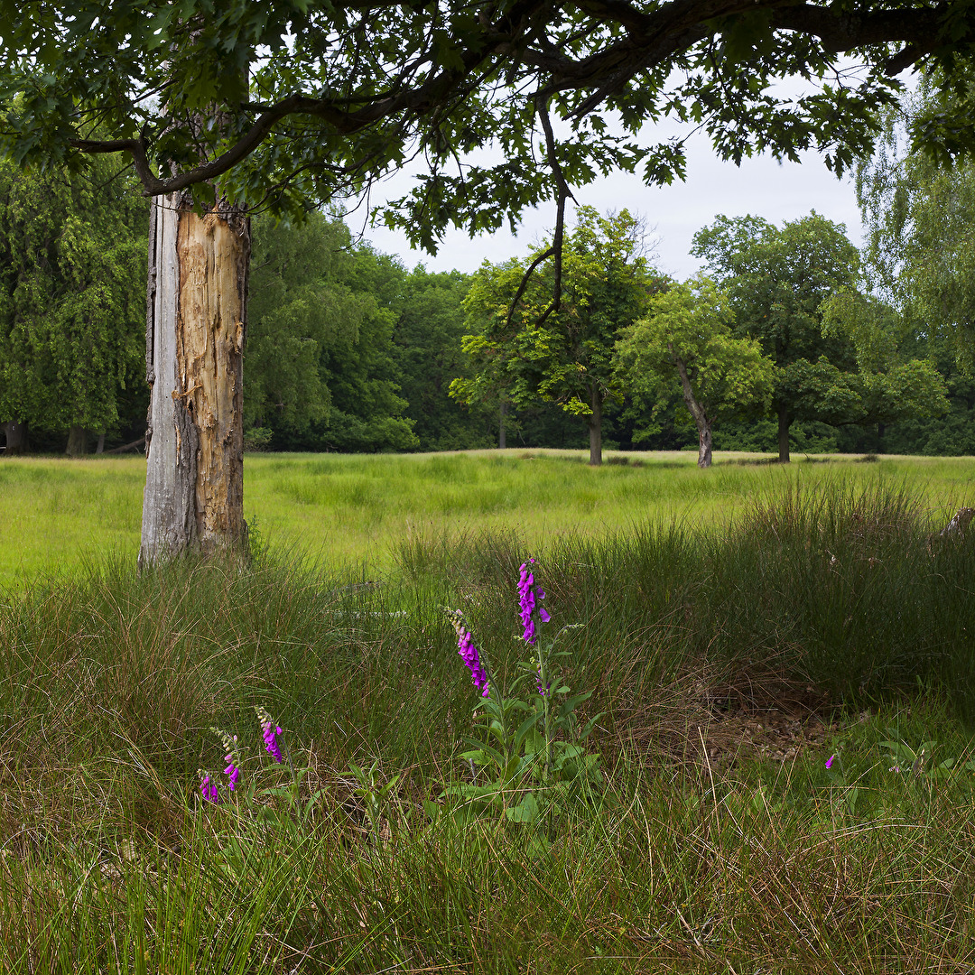 NATURPARK HOHE MARK