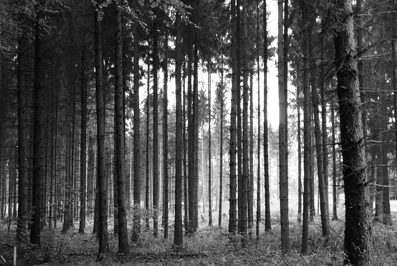 Kulturlandschaften (allgemein)