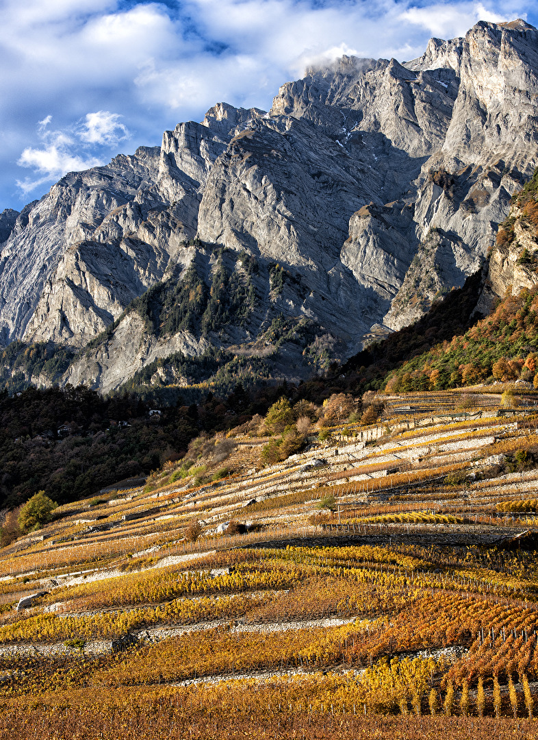 Kulturlandschaften (allgemein)