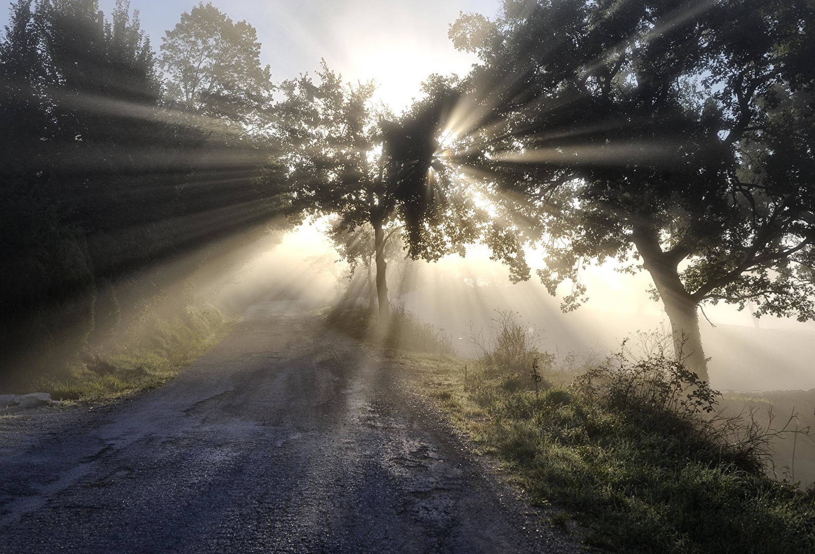 Sonnenaufgang in den italienischen Marken