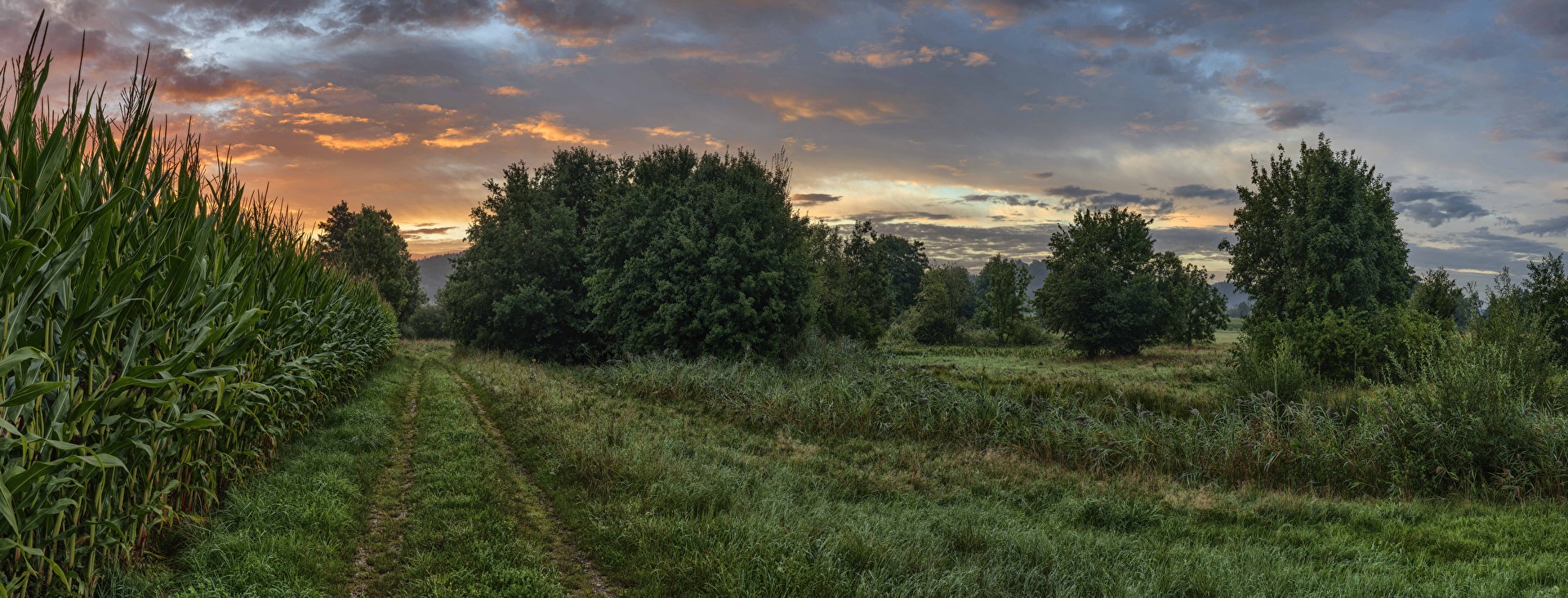 Morgenstund