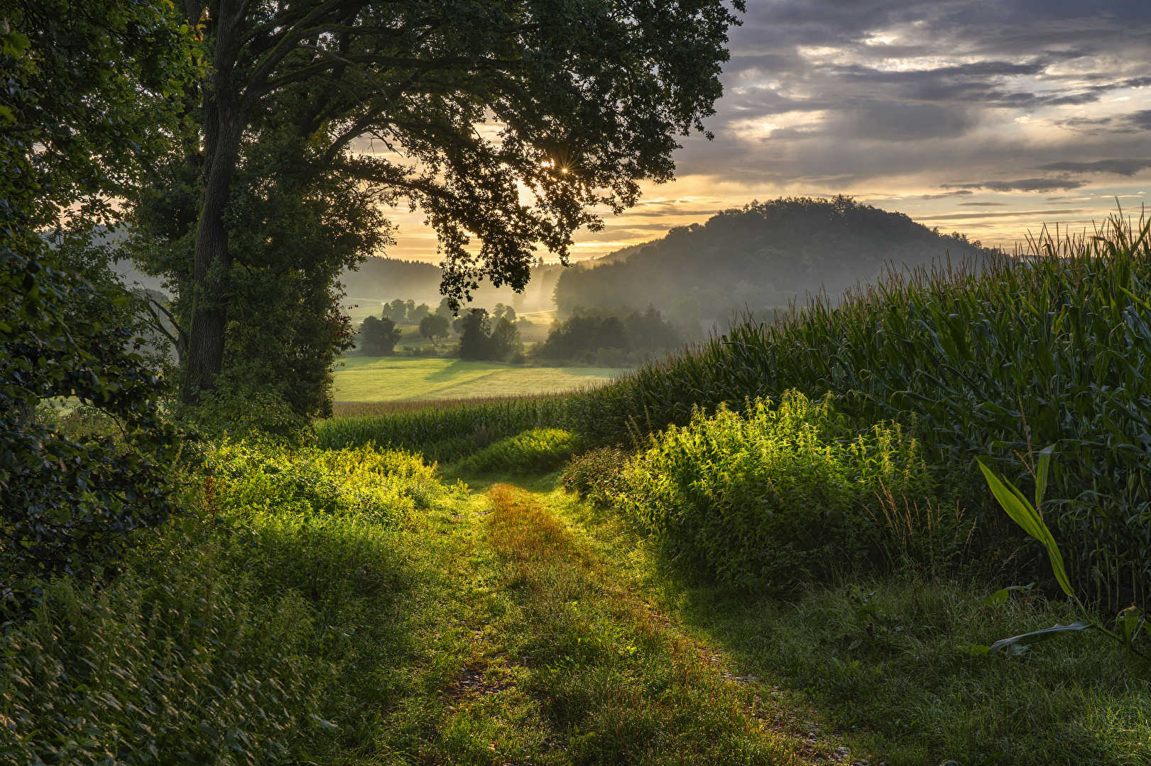 Wanderweg