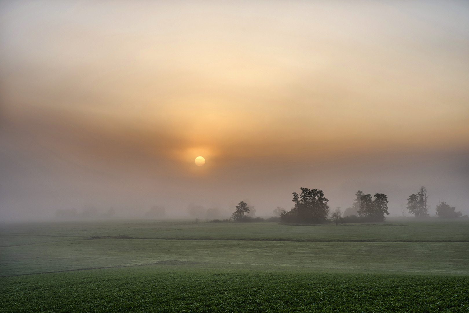 Sonne und Nebel