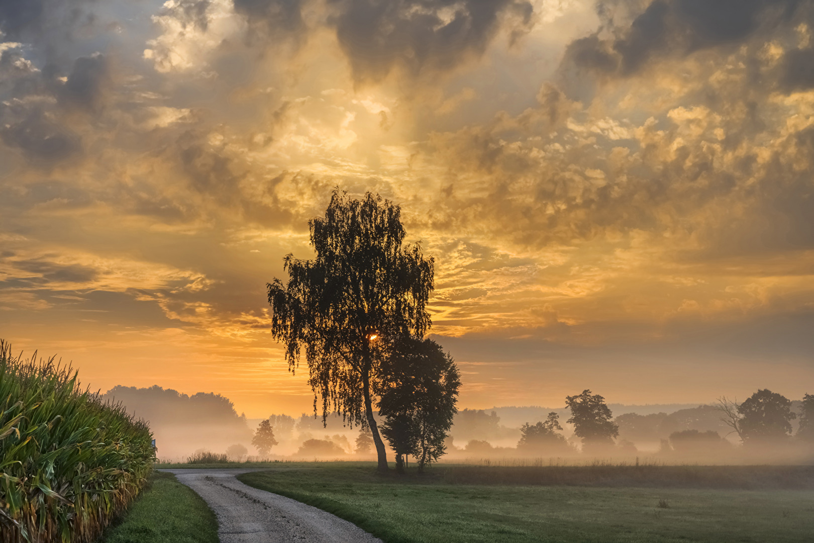 Sonne und Nebel