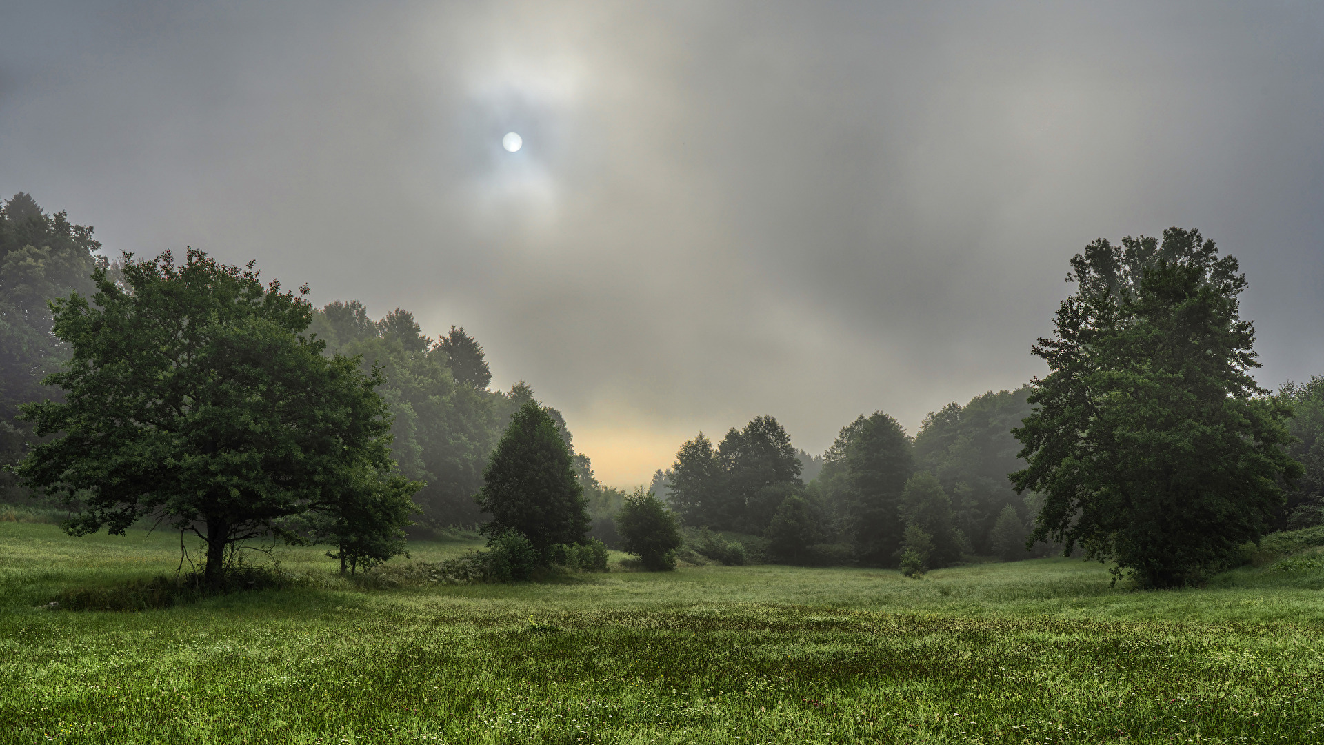 Am Morgen
