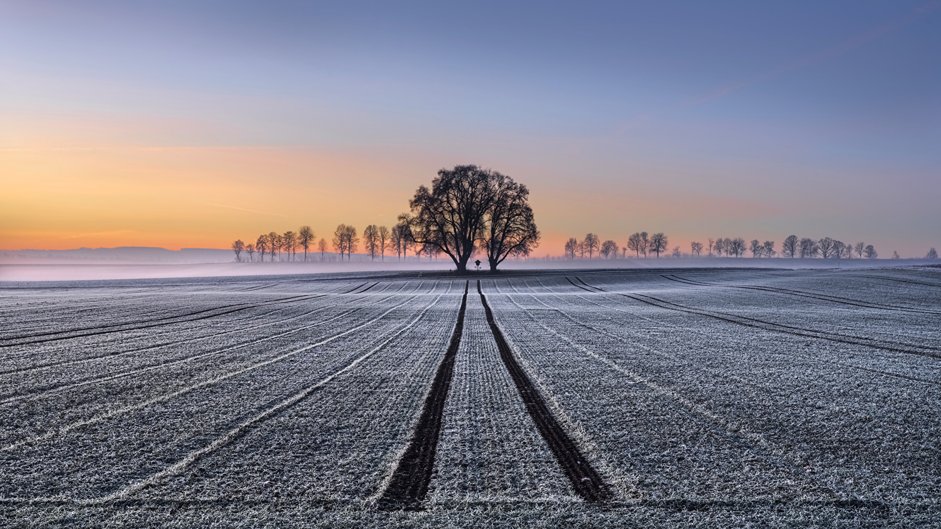 Morgenstund