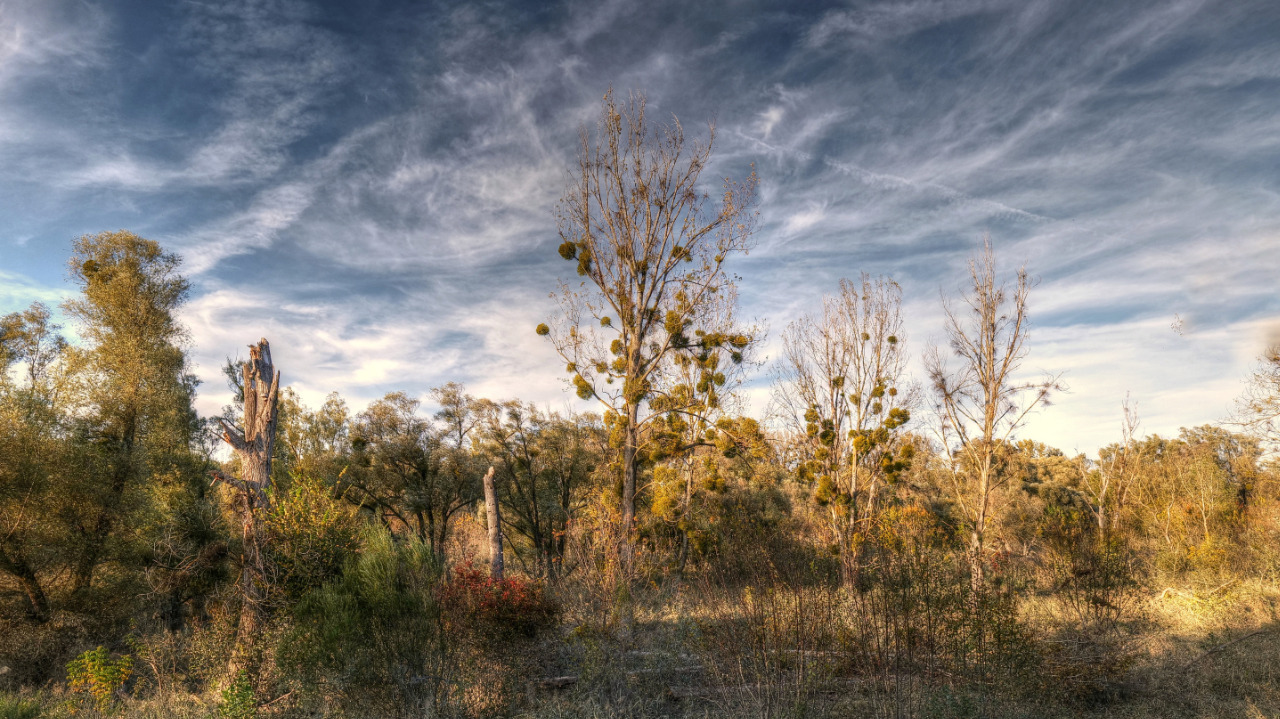Lobau - Nationalpark Donauauen / Niederösterreich