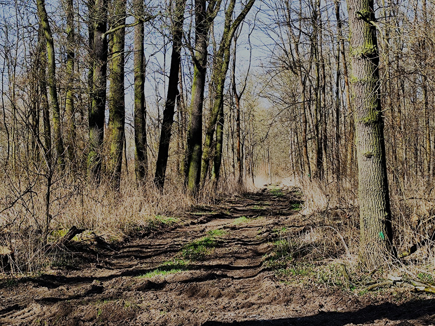 Naturschutzgebiet