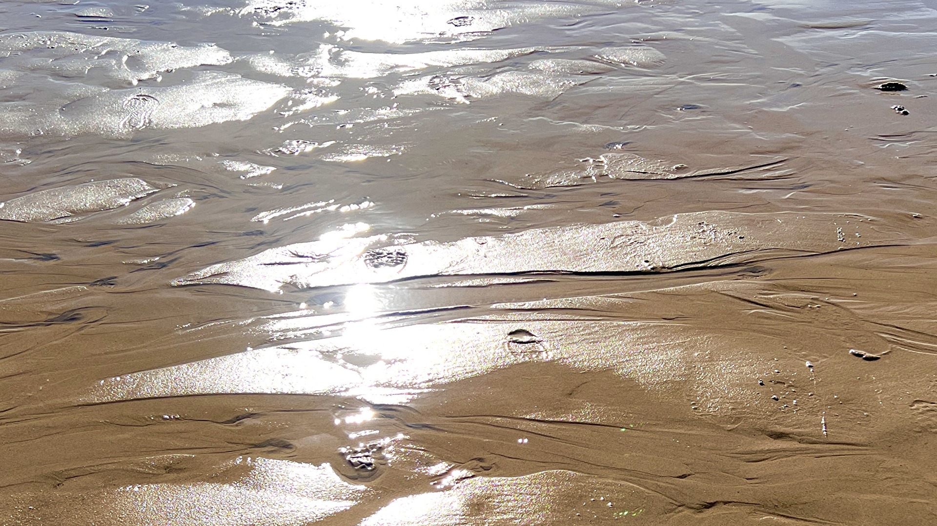 Am Strand von Koudekerke