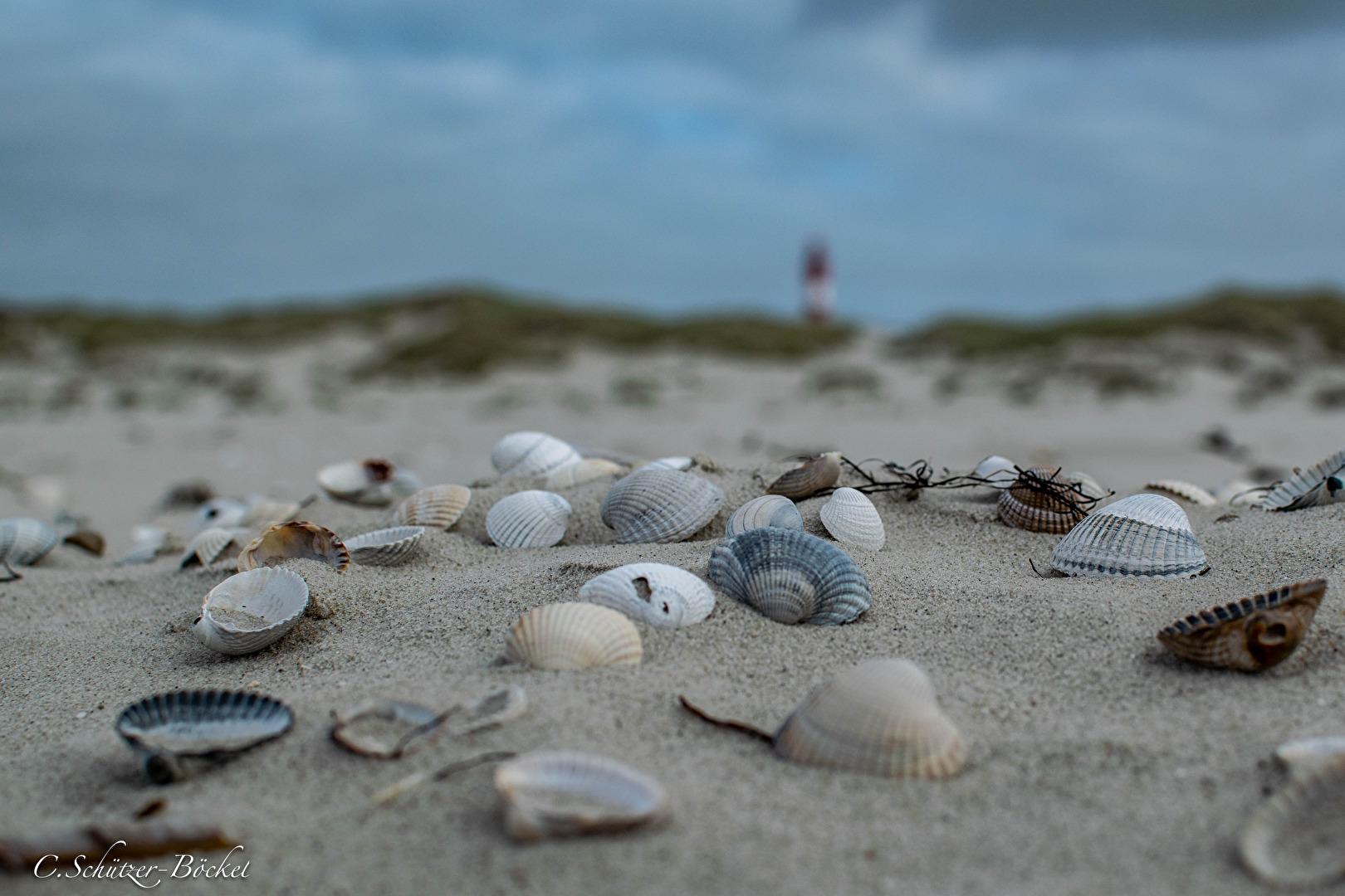 Freigestellt...am Strand