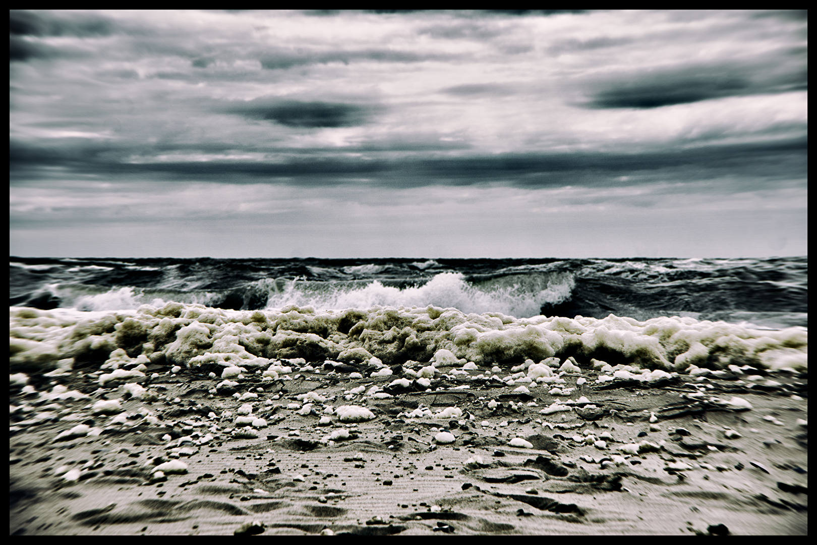 wilde Nordsee