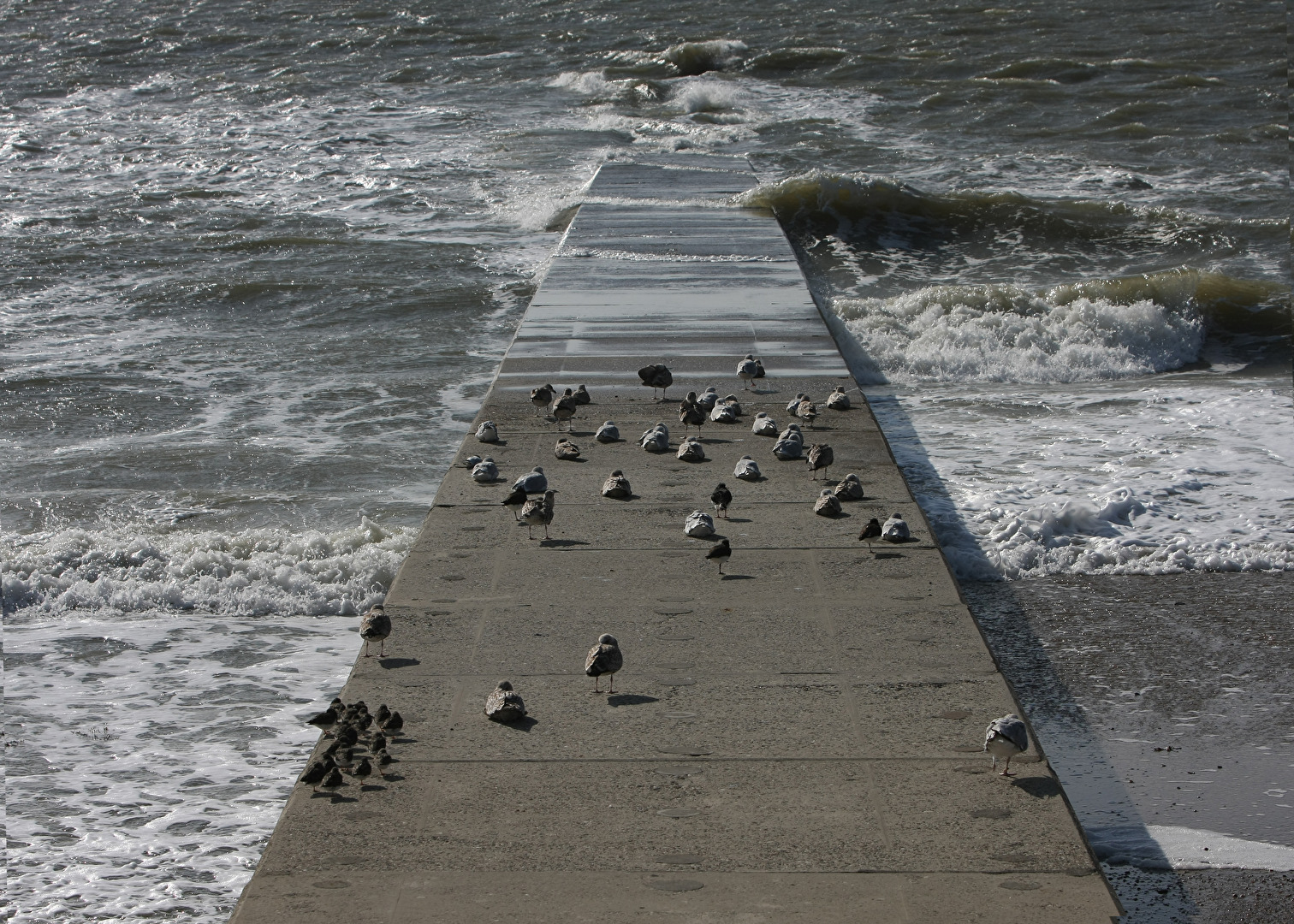 Die Nordsee wird heftiger . . .