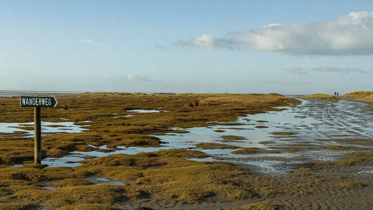Wandern im Töwerland  (Juist)