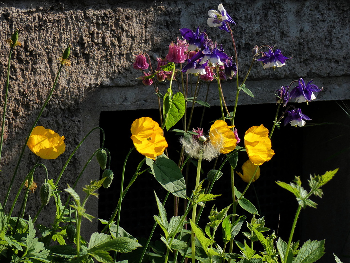 was kommt darf bleiben ...