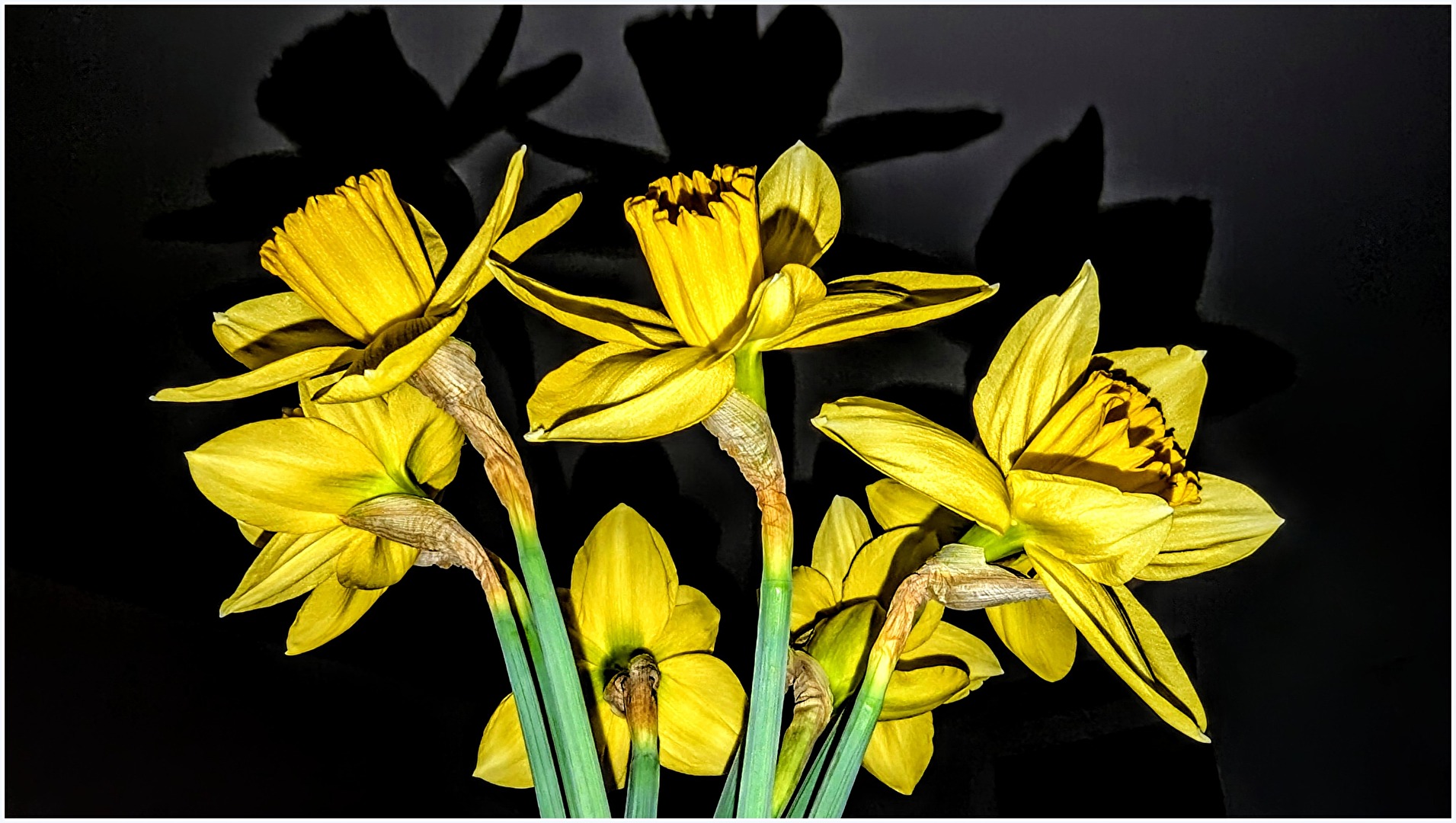 Frühlingsbote