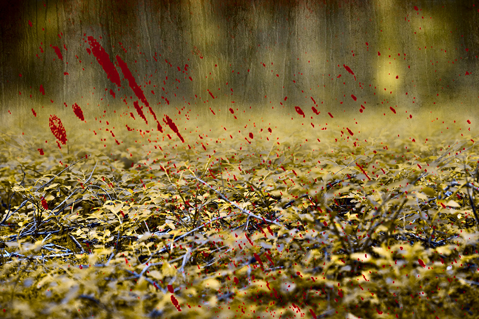 Sonntag, 20.15 Uhr:   Tatort