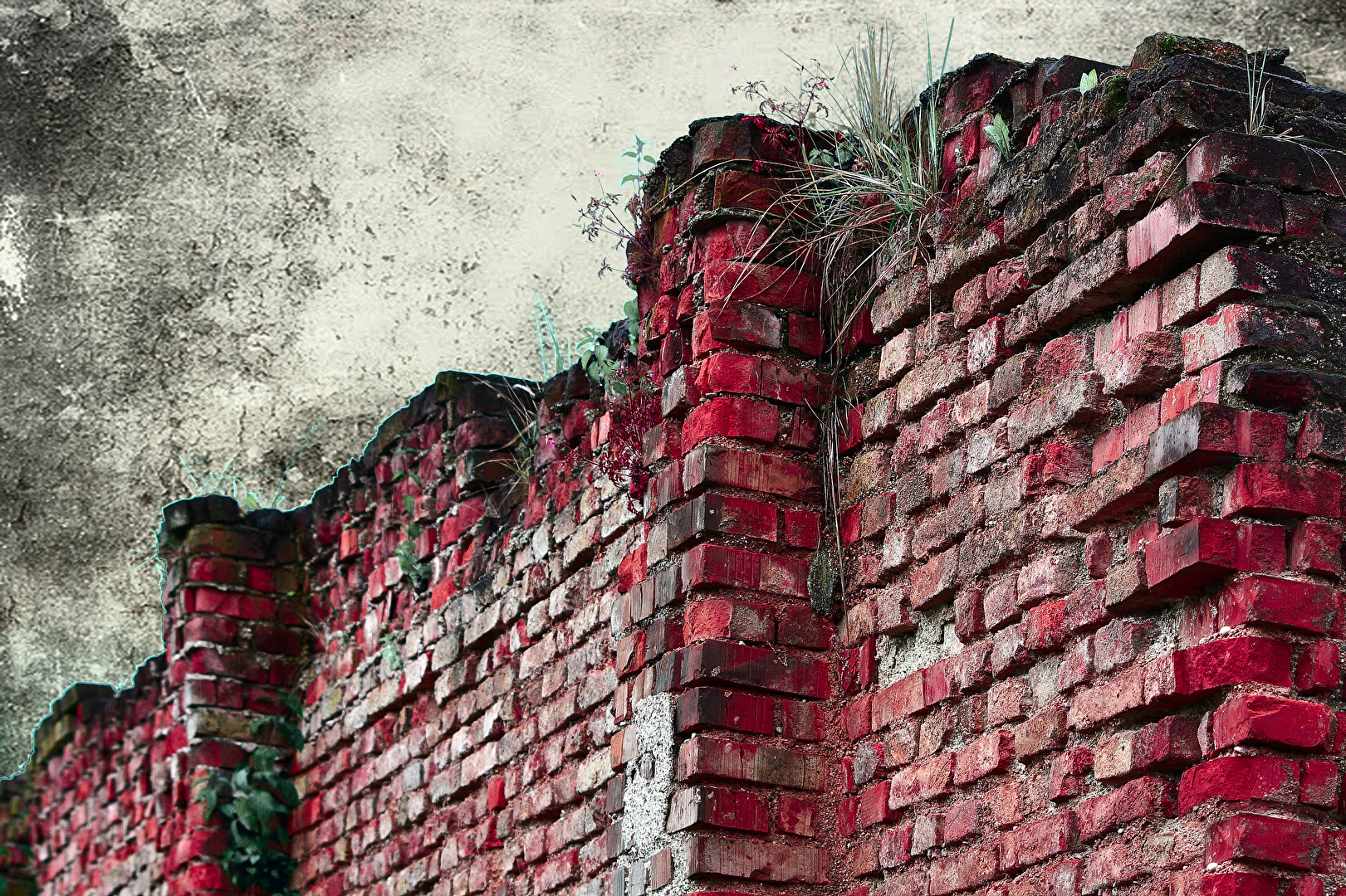 die Mauer