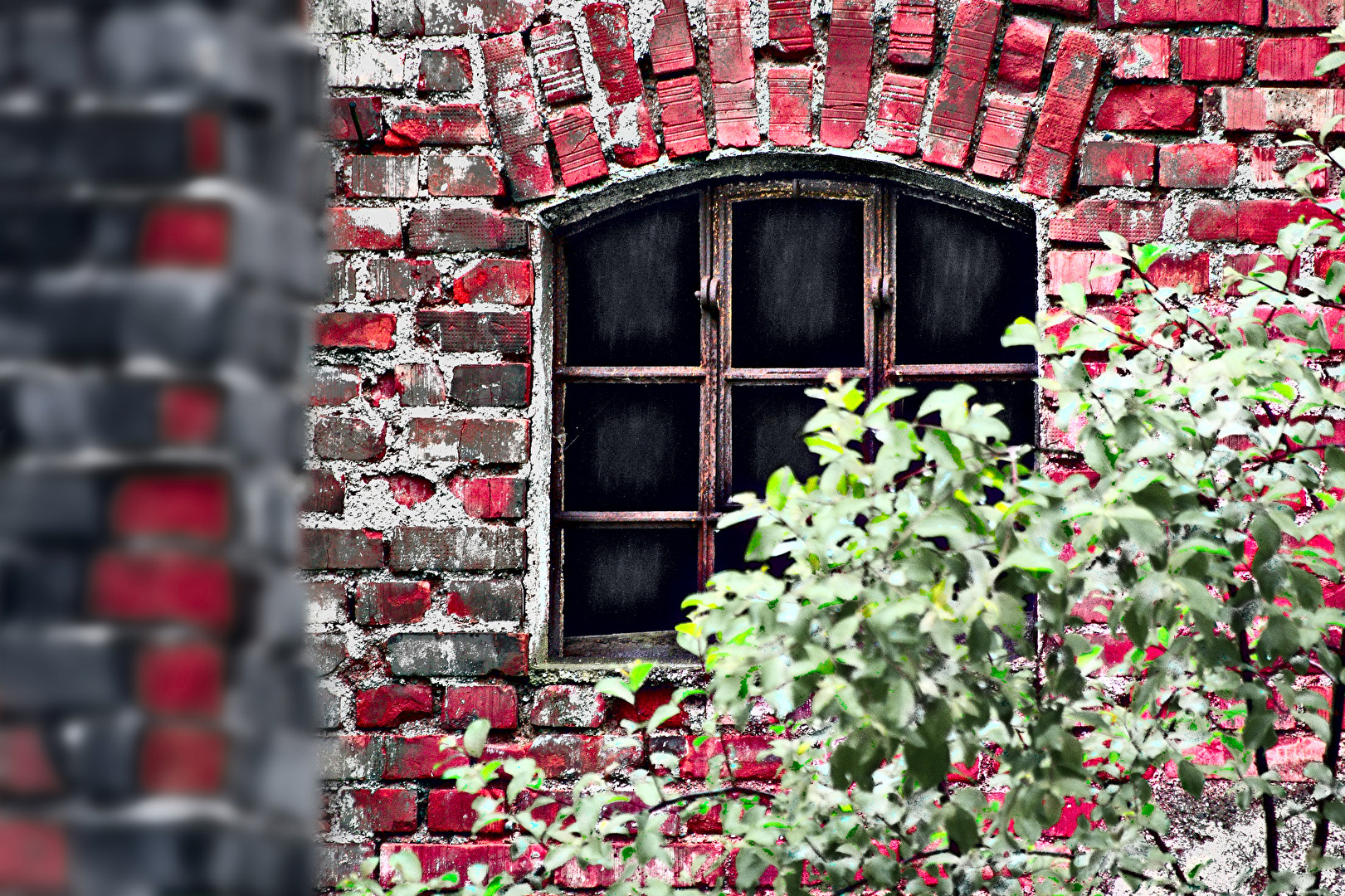 das Fenster in der Mauer