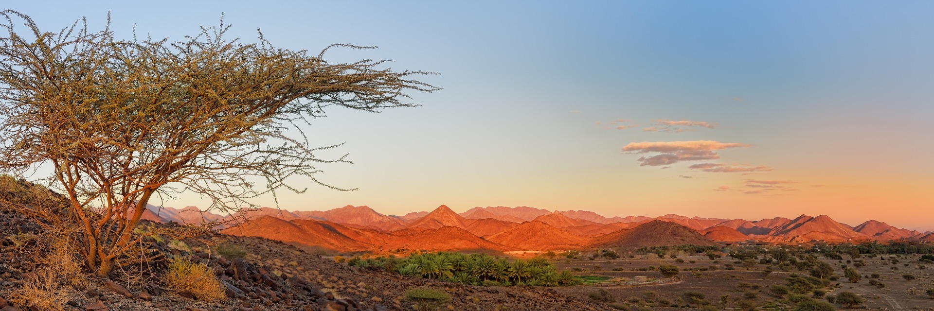 Die Steinwüste Omans
