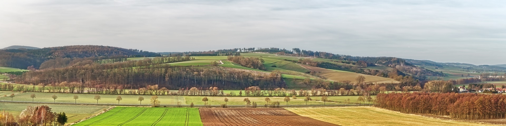 Dort, wo ich lebe...