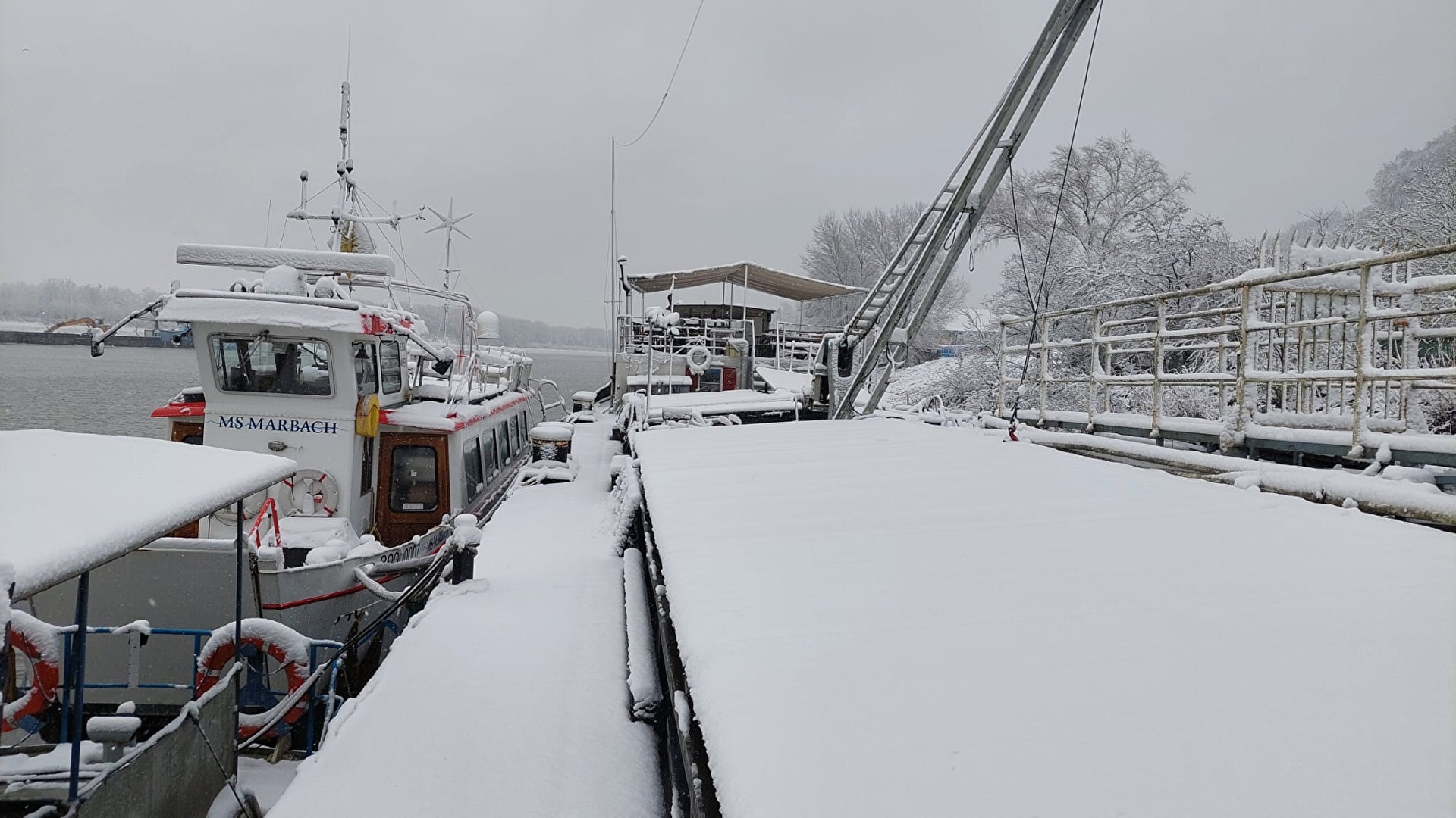 Donau im Winter