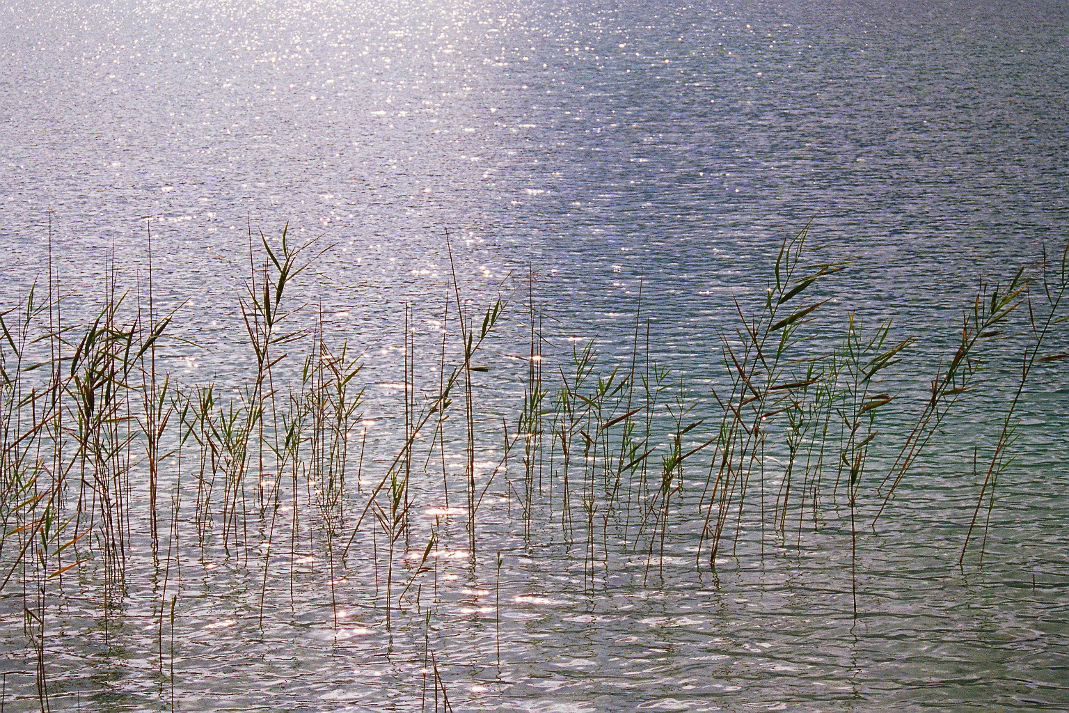 Wörthersee Österreich