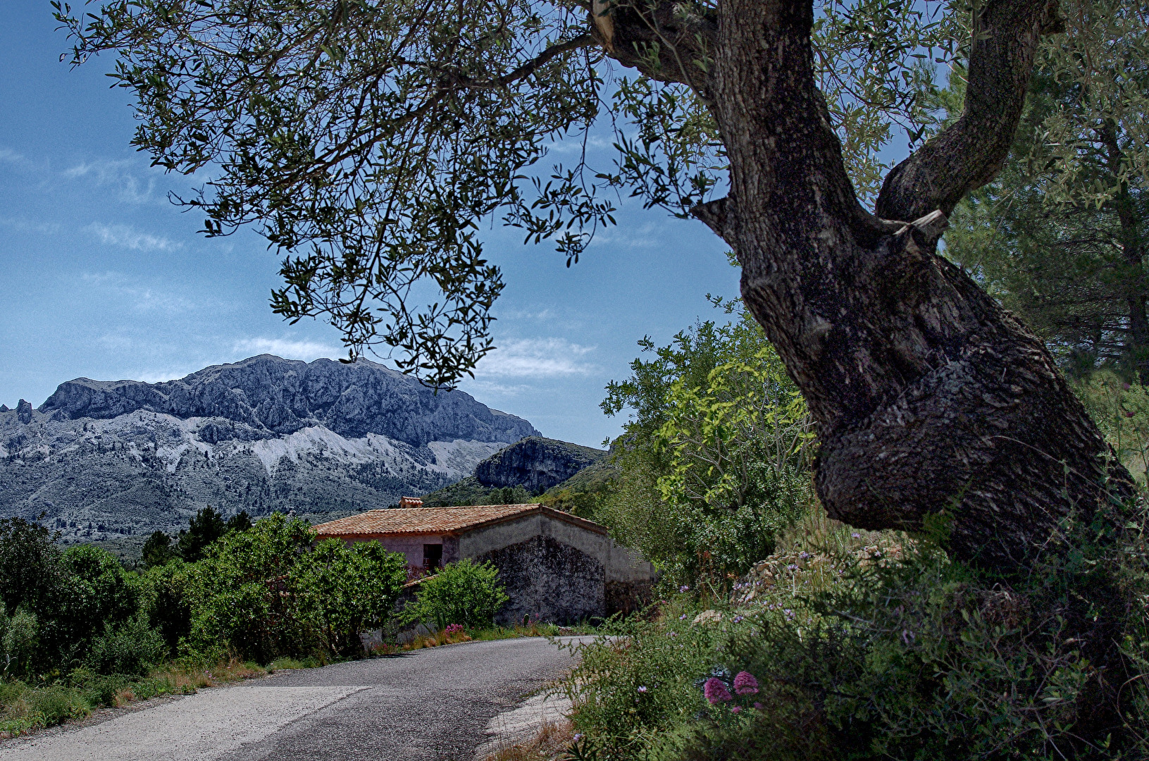 Winter in Südspanien