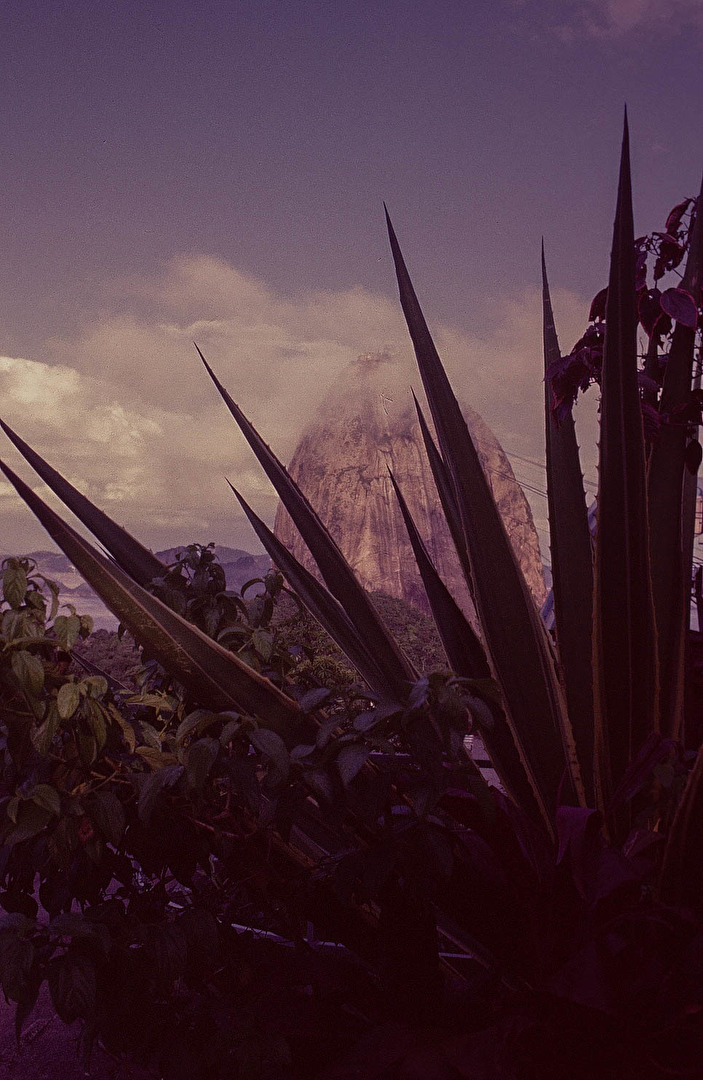 ZUCKERHUT IN RIO DE JANEIRO