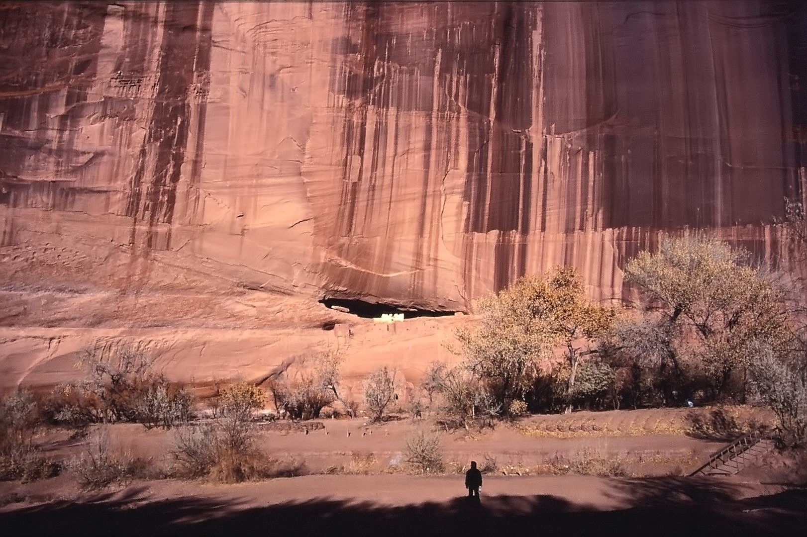 ... White House Ruins ... - wie mächtig doch die Natur ist!