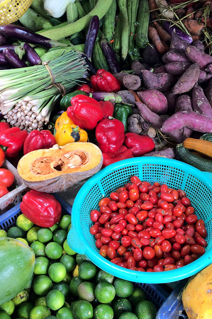 North Asia (allgemein)