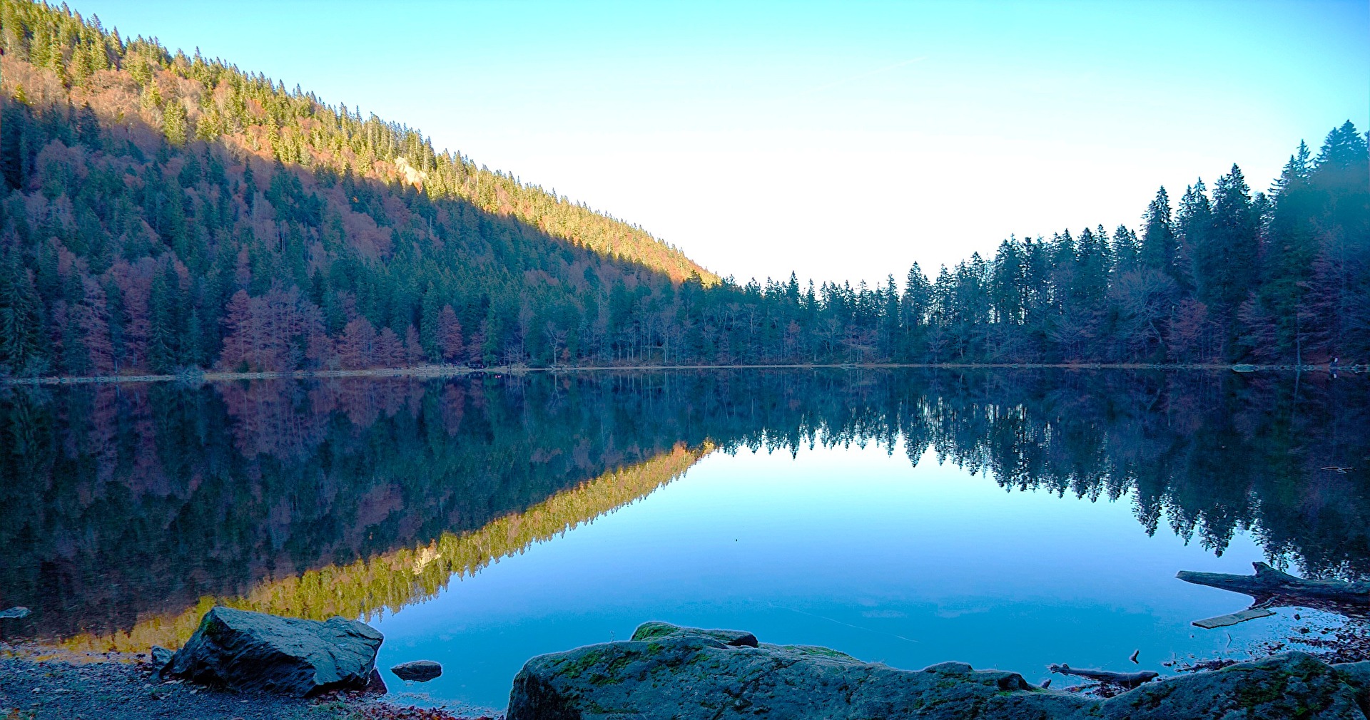 Water reflection on the Feldsee