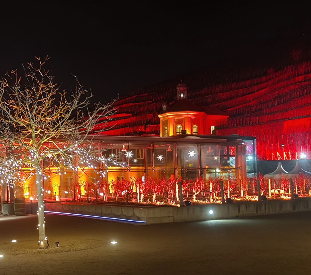 Lichterfest Schloss Wackerbarth