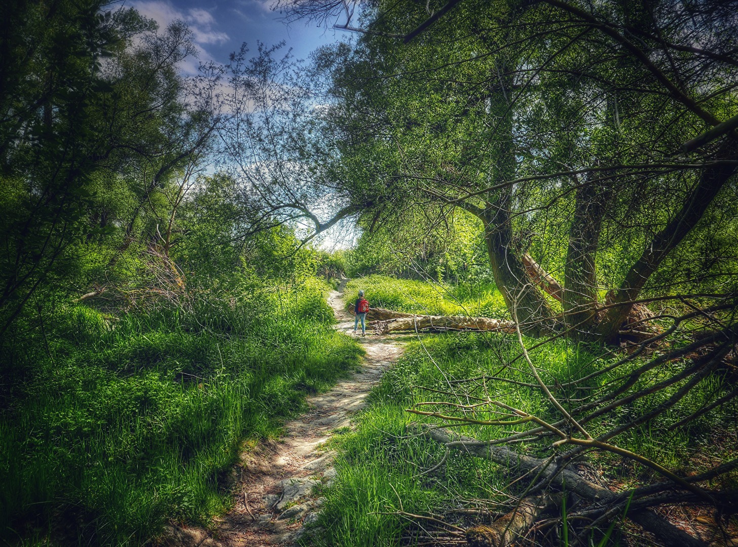 Nationalpark Donauauen