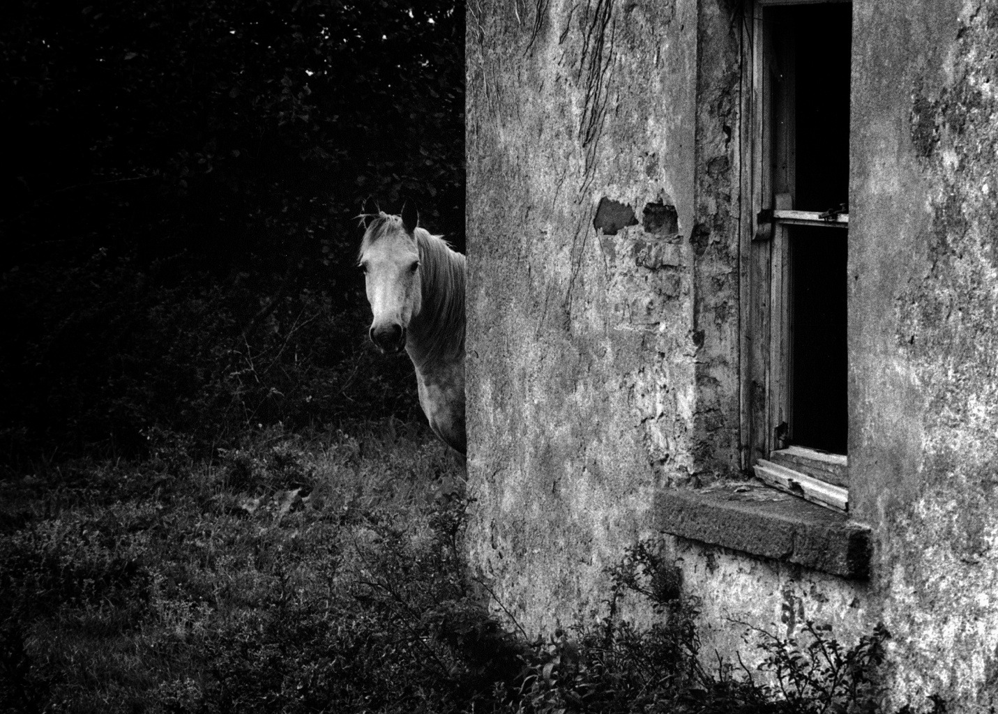 United Kingdom & Ireland (allgemein)