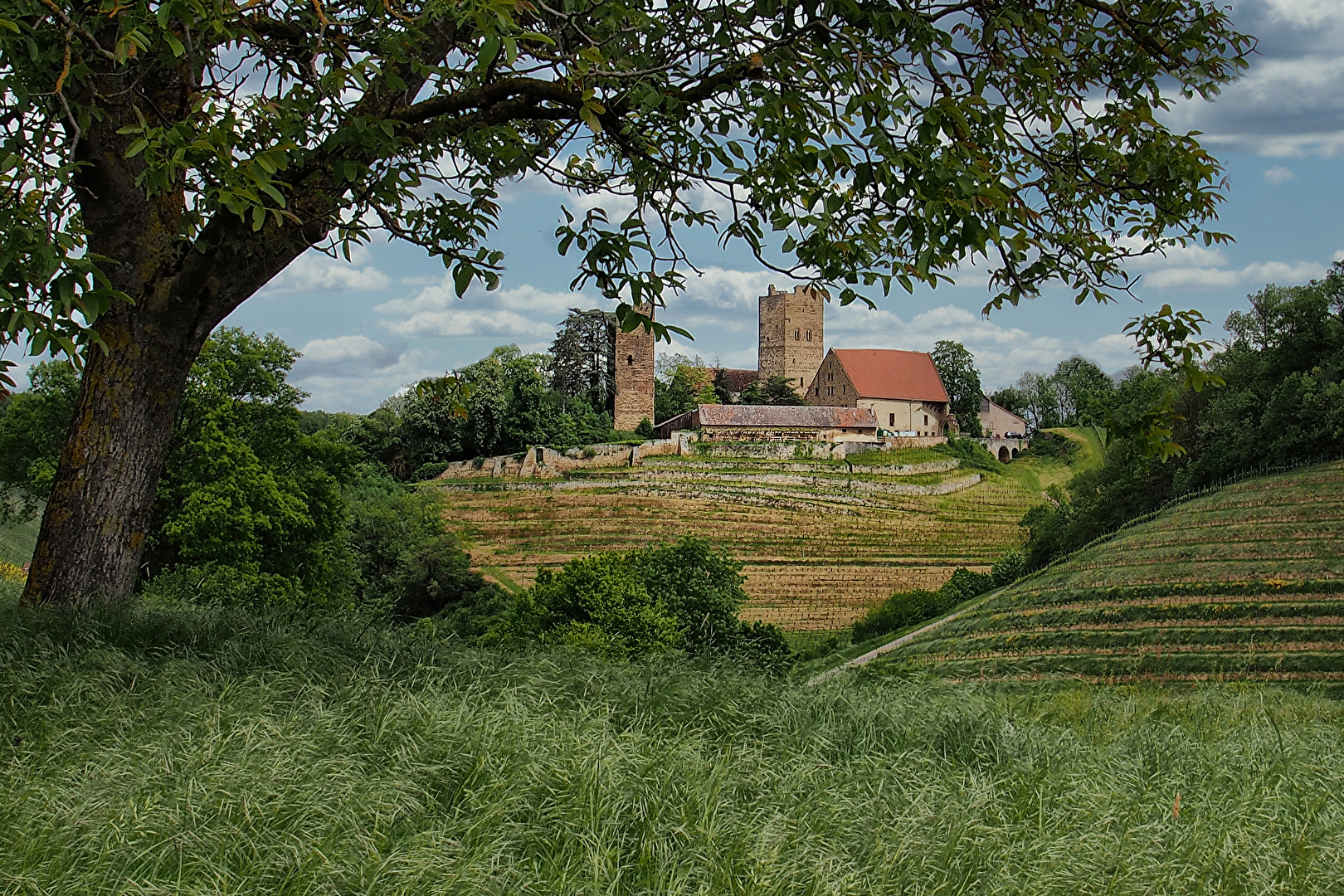 Burg Neipperg