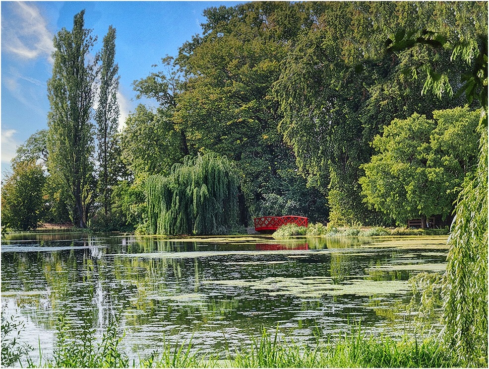 Paisaje de parque