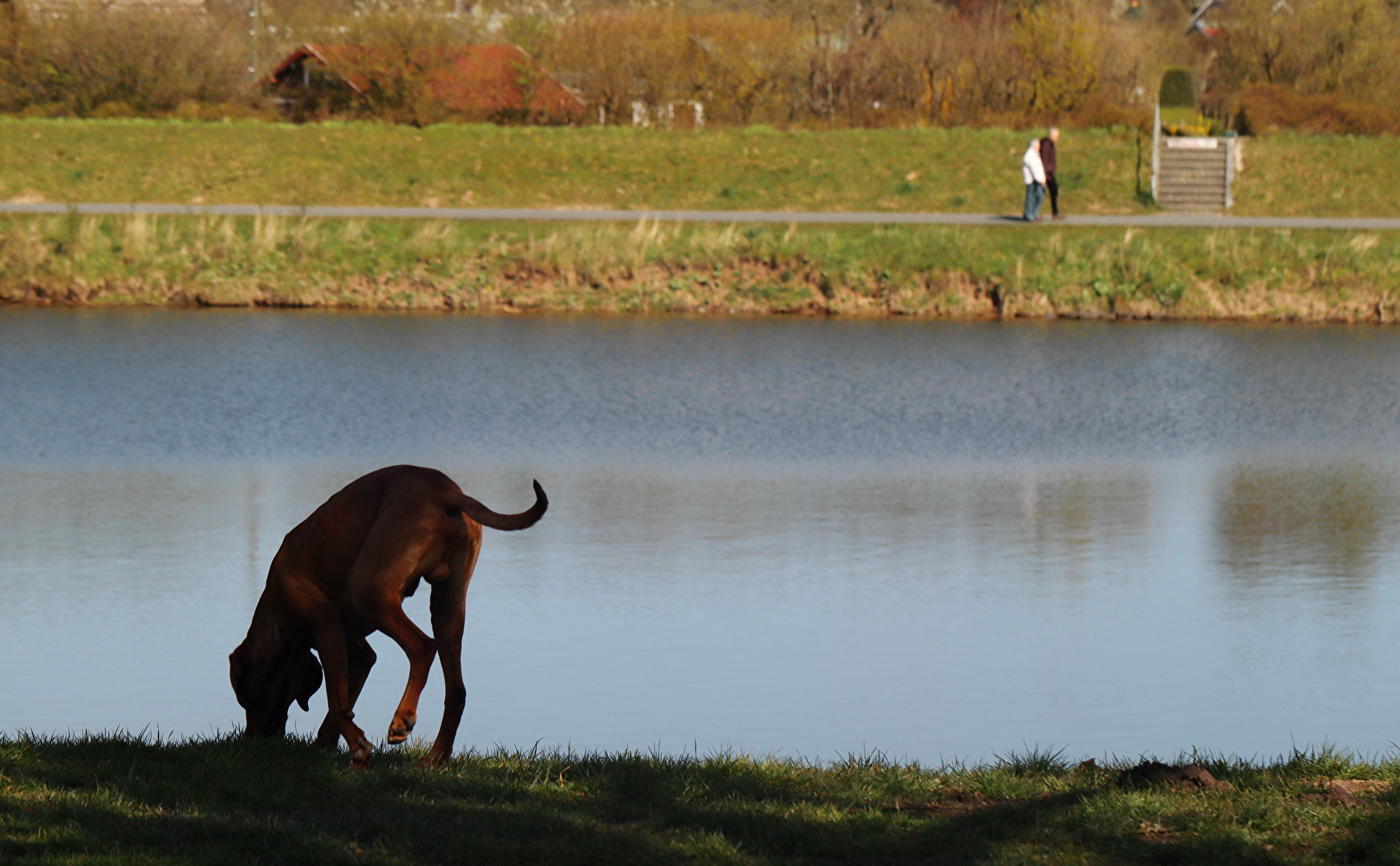 Werdersee Bremen