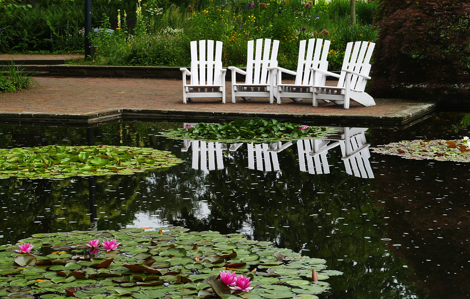 Chillen am Seerosenteich